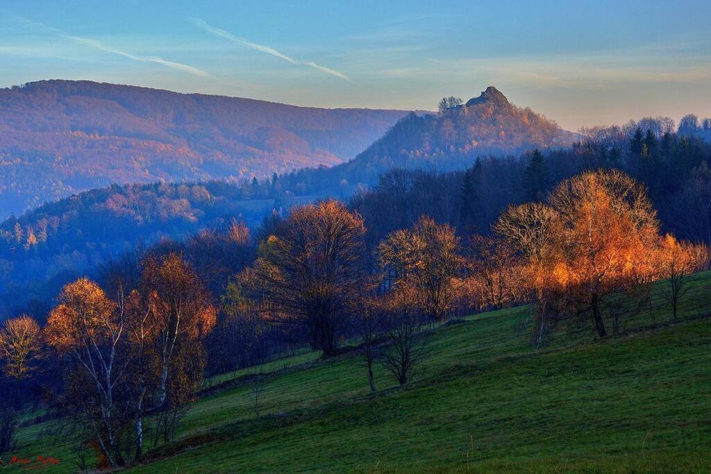 Apartment Tour Bohemian Switzerland Horni Podluzi Exterior photo